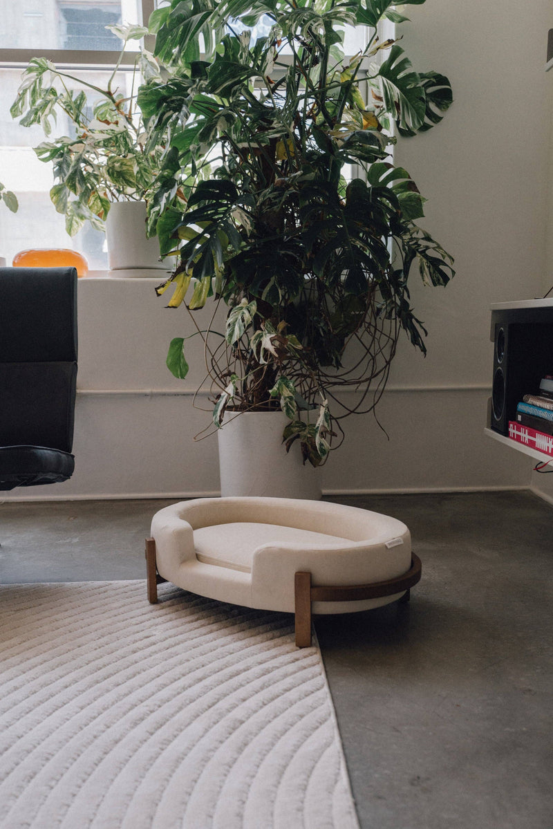 The Belle - Premium Modern Pet Bed by WHISKERHAUS